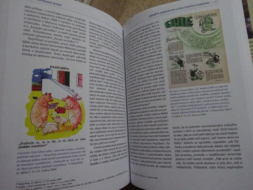NAPÍNAVÁ DOBA, PETR KARLÍČEK, **an