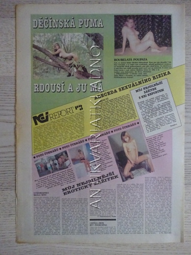 ČESKOSLOVENSKÝ NEI REPORT, 16/1993