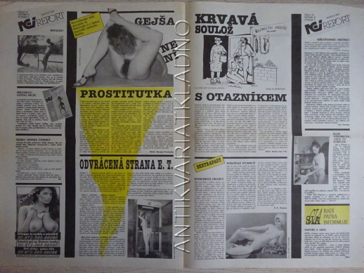 ČESKOSLOVENSKÝ NEI REPORT, 22/1993, KÁJA SAUDEK