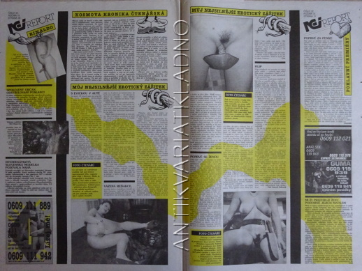 ČESKOSLOVENSKÝ NEI REPORT, 22/1998