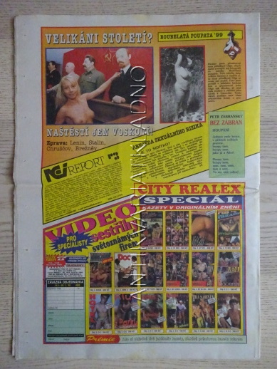 ČESKOSLOVENSKÝ NEI REPORT, 2/1999