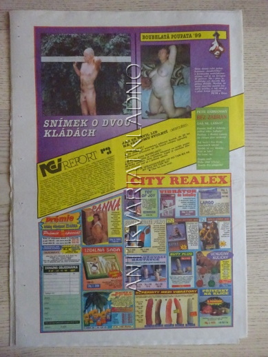 ČESKOSLOVENSKÝ NEI REPORT, 22/1999