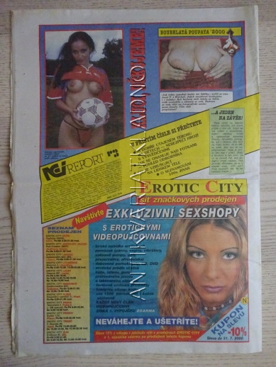 ČESKOSLOVENSKÝ NEI REPORT, 13/2000
