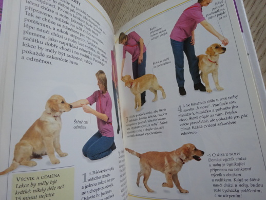 JAK PEČOVAT O ŠTĚNĚ, 101 PRAKTICKÝCH RAD, **an