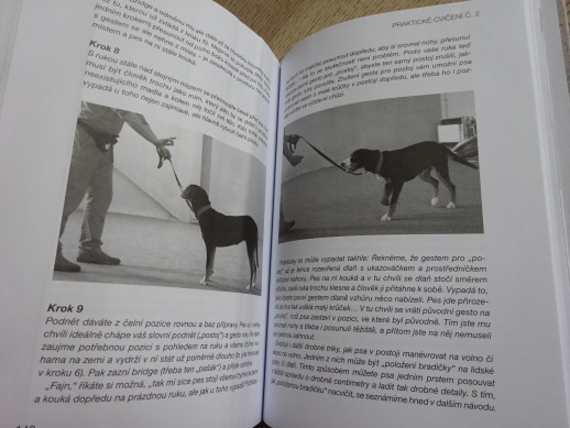 VYSTAVOVÁNÍ JE HRA, MICHAELA ČERMÁKOVÁ, FRANTIŠEK ŠUSTA, **an