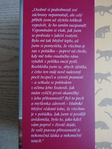 DALAJLAMOVA KOČKA, DAVID MICHIE, **an