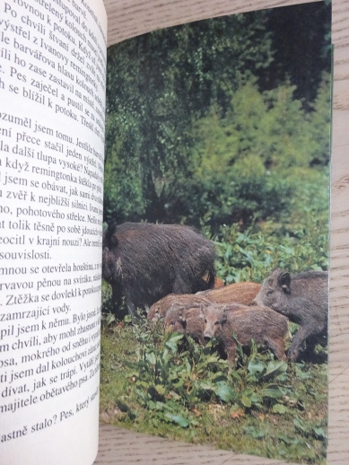 POVÍDÁNÍ S JELENEM, IGOR MRÁZ, **an