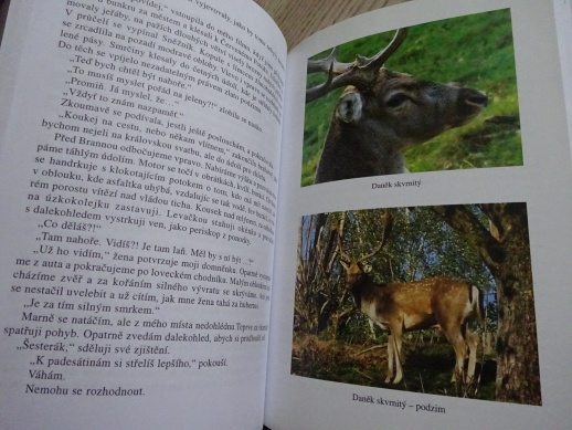 MYSLIVECKÁ VYZNÁNÍ, ANTOLOGIE SPISOVATELŮ MYSLIVECKÉ BELETRIE 90. LET 20. STOLETÍ, **an