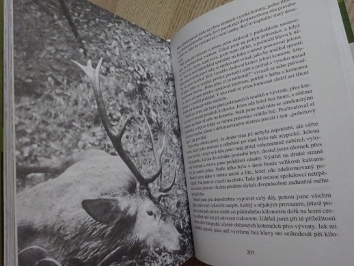 ZA TAJEMSTVÍM HVOZDŮ, JOSEF V. JIROUŠEK, **an