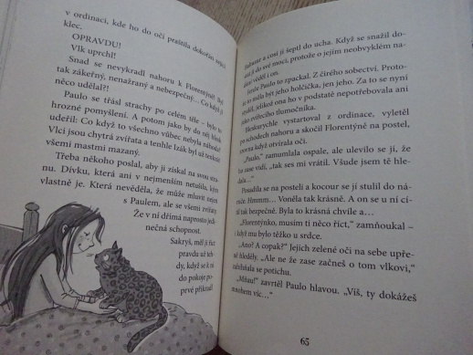 BÁJEČNÁ FLORENTÝNA, PO STOPÁCH VLKA, ANTJE SZILLATOVÁ, **an