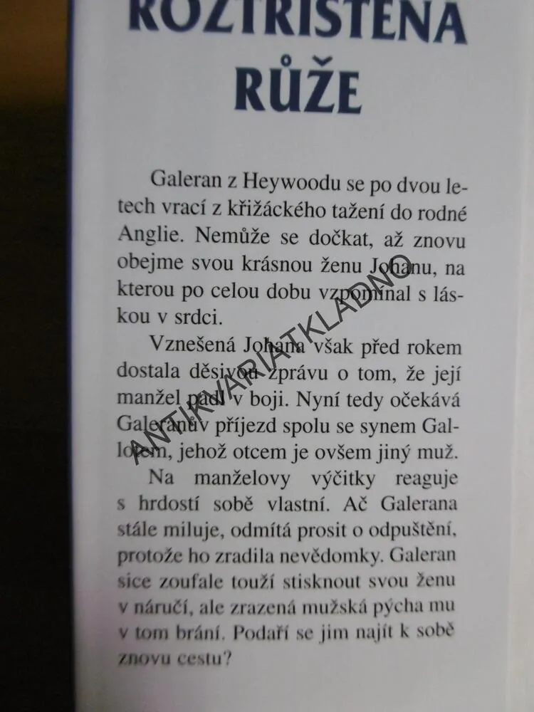 ROZTŘÍŠTĚNÁ RŮŽE, JO BEVERLEY