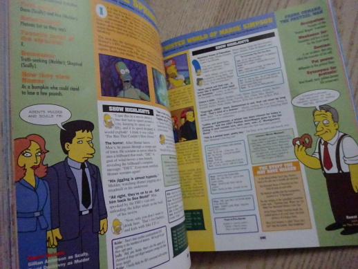 THE SIMPSONS, A COMPLETE GUIDE, ANGLICKY, **an