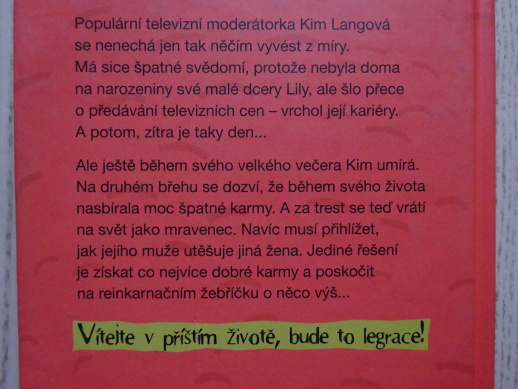 MIZERNÁ KARMA, DAVID SAFIER, **an