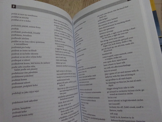 ČESKO-ANGLICKÝ FRAZEOLOGICKÝ SLOVNÍK, **an