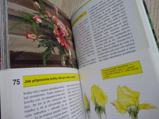 88 RAD PĚSTITELŮM RŮŽÍ, VILÉM WALTER, **an