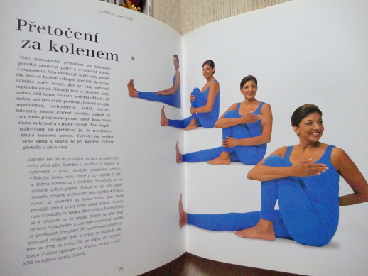 JÓGA PROTI STRESU, VIMLA LALVANI, **an