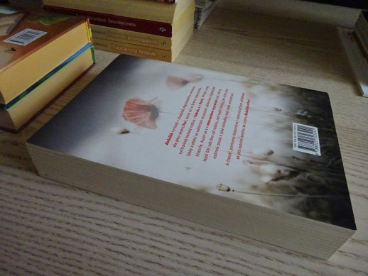 A HORY ODPOVĚDĚLY, KHALED HOSSEINI, **an