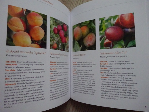 OVOCNÉ DŘEVINY A BOBULOVINY, KATHARINA ADAMSOVÁ, **an