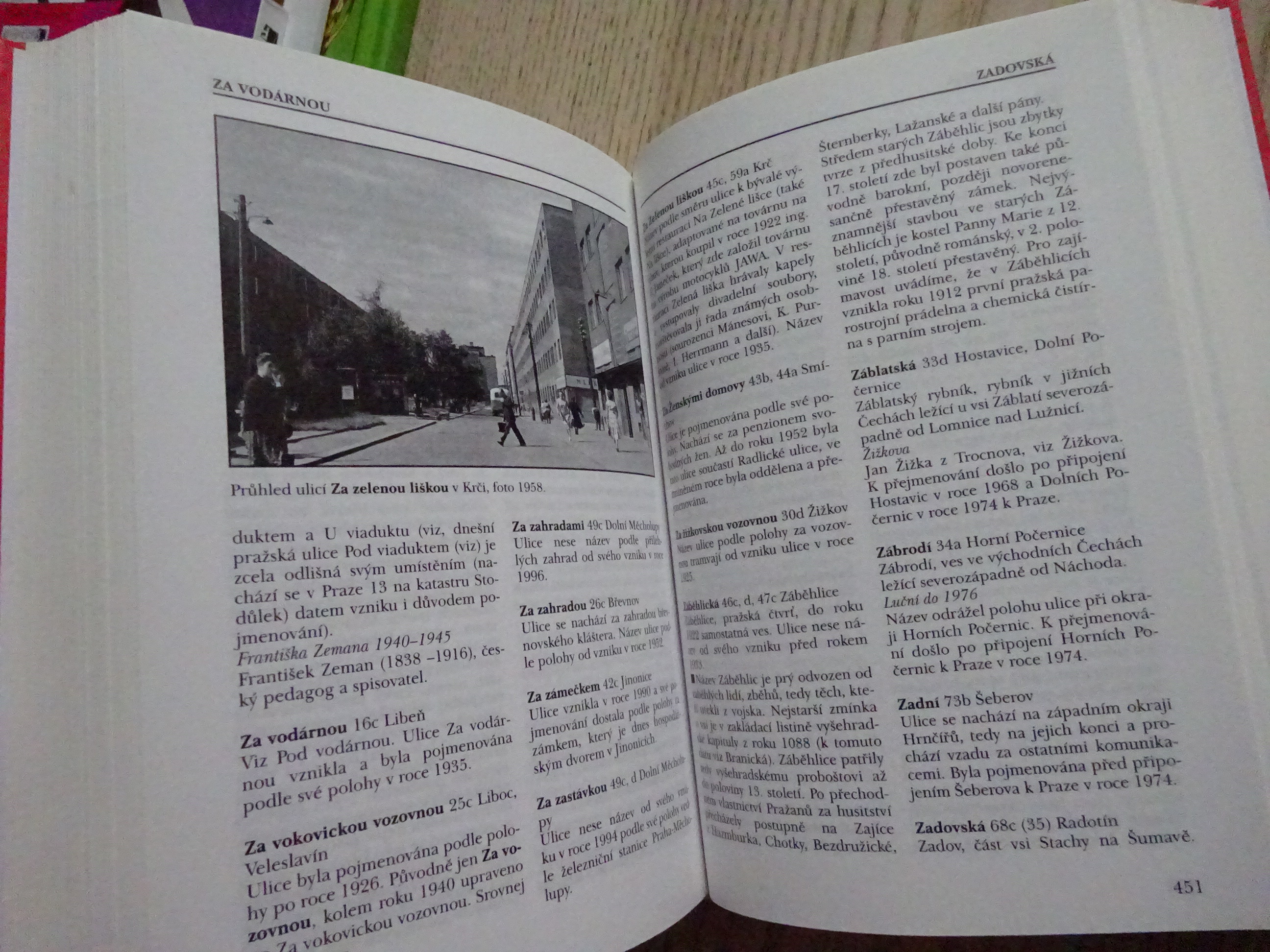 PRAŽSKÝ ULIČNÍK, LAŠŤOVKA, LEDVINKA, PRAHA, **an