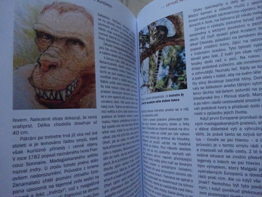 NEUVĚŘITELNÉ SKUTEČNOSTI, ARNOŠT VAŠÍČEK, **an