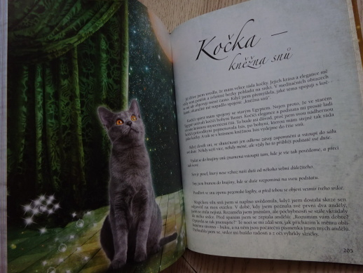 MYSTICKÁ ZVÍŘATA, JITKA SANI, **an
