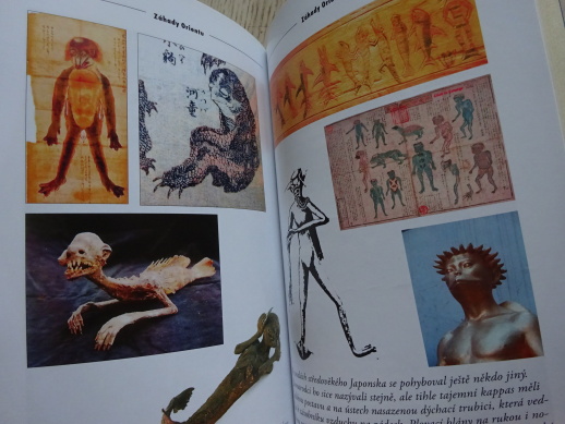ZÁHADY ORIENTU, ARNOŠT VAŠÍČEK, **an