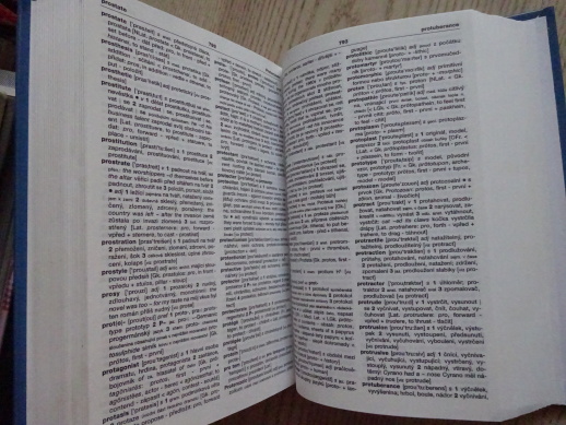 VELKÝ AMERICKO-ČESKÝ SLOVNÍK, SINCLAIR NICHOLAS, **an