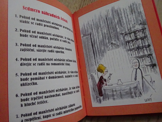 MURPHYHO ZÁKONY PRO NEVĚSTY, HANA PRIMUSOVÁ, **an