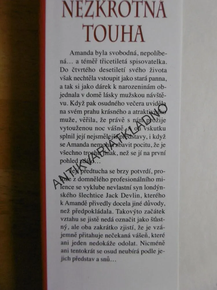 NEZKROTNÁ TOUHA, LISA KLEYPAS