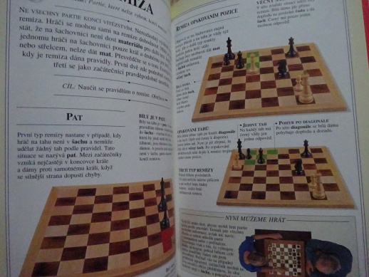 ŠACHY, ZÁKLADY HRY, STRATEGIE A TAKTIKA, KEN WHYLD, **an