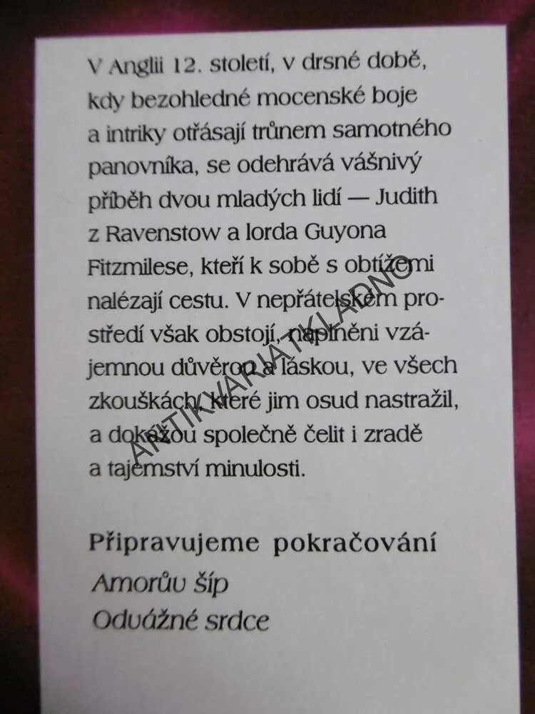 RYTÍŘ Z WALESU, ELIZABETH CHADWICKOVÁ, **an