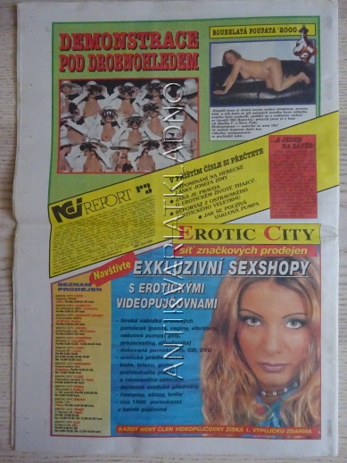 ČESKOSLOVENSKÝ NEI REPORT, 21/2000