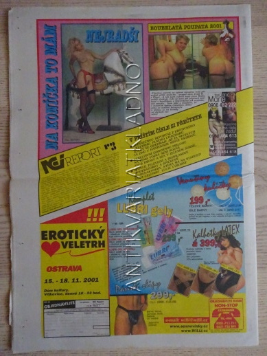 ČESKOSLOVENSKÝ NEI REPORT, 23/2001