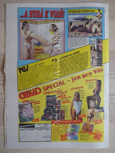 ČESKOSLOVENSKÝ NEI REPORT, 10/2002