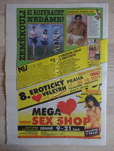 ČESKOSLOVENSKÝ NEI REPORT, 19/2002