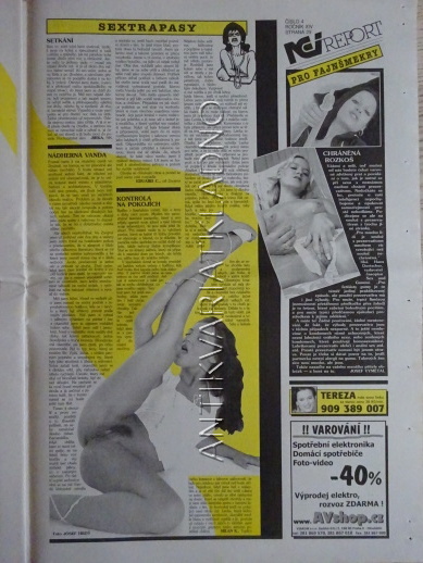 ČESKOSLOVENSKÝ NEI REPORT, 4/2003