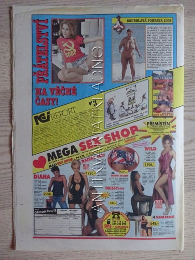 ČESKOSLOVENSKÝ NEI REPORT, 18/2003