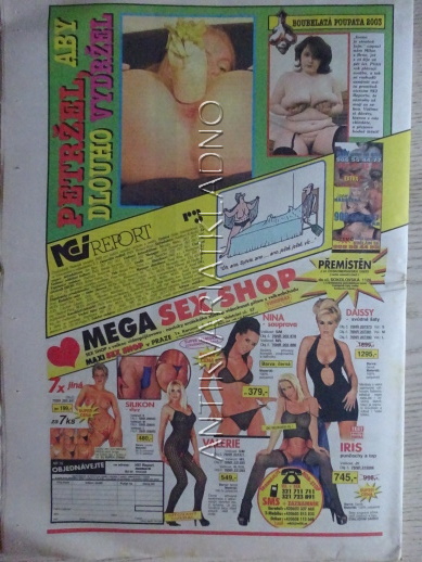 ČESKOSLOVENSKÝ NEI REPORT, 25/2003