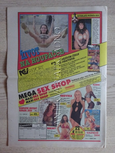 ČESKOSLOVENSKÝ NEI REPORT, 2/2004