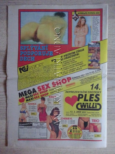 ČESKOSLOVENSKÝ NEI REPORT, 4/2004