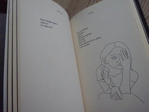 MLÉKO A MED, RUPI KAUR, **an