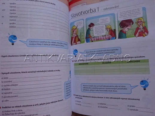 ČESKÝ JAZYK 7, CVIČEBNICE ČESTINY PRO ŽÁKY ZÁKLADNÍCH ŠKOL, **an