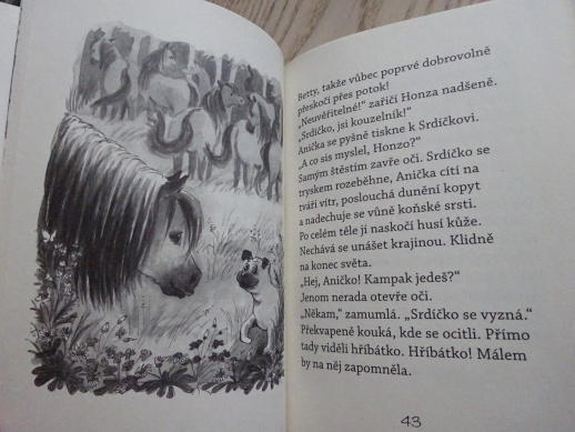 SRDÍČKO, ANIČKA ZACHRAŇUJE HŘÍBÁTKO, USCH LUHNOVÁ, **an