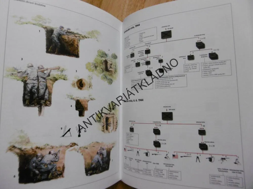 AMERICKÁ PĚCHOTA ZA 2.SVĚTOVÉ VÁLKY, 