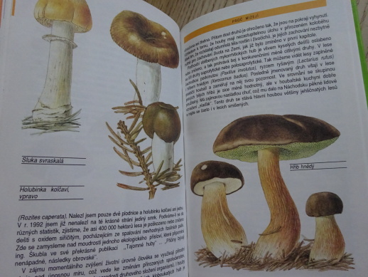 CO NEVÍME O HOUBÁCH, BAIER, VANČURA, **an