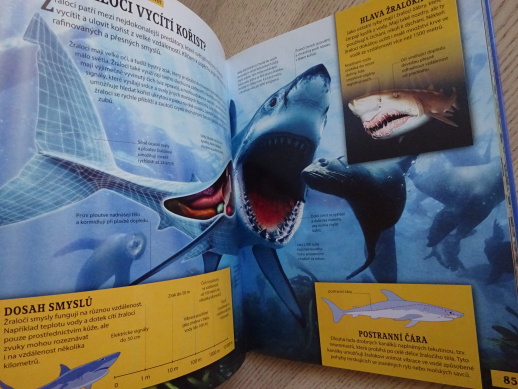 JAK TO FUNGUJE NA ZEMI, **an