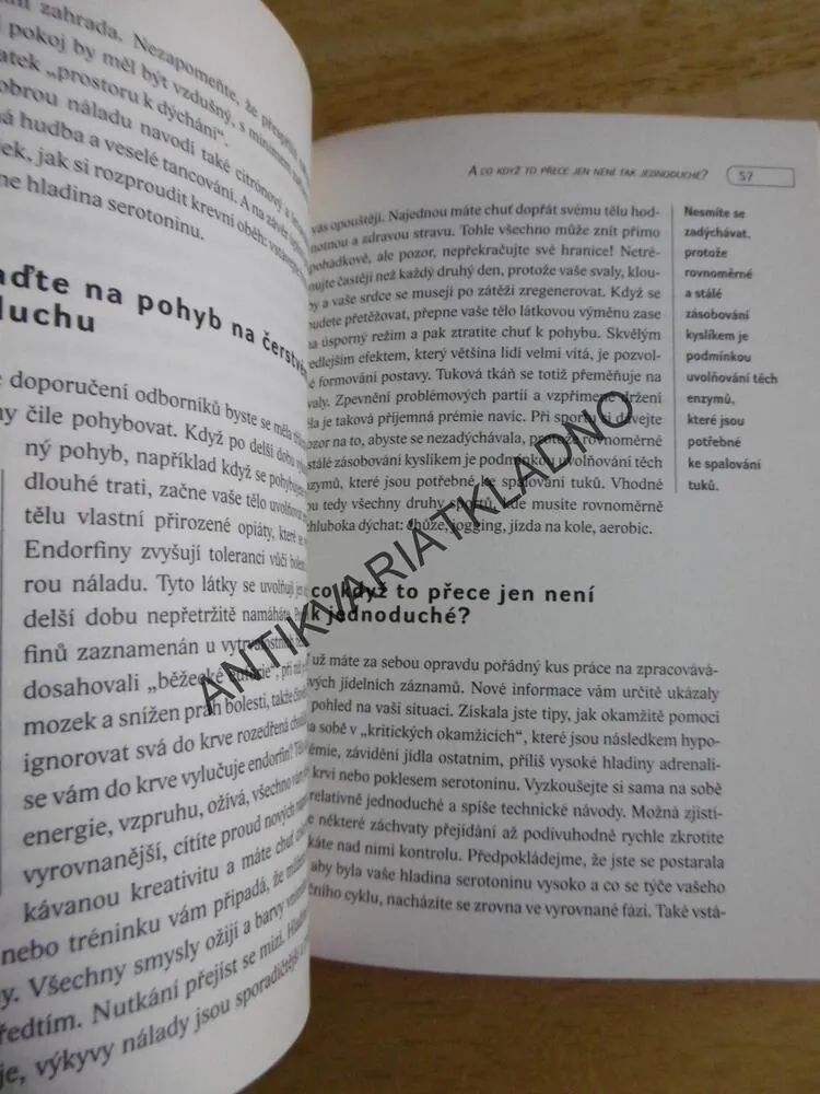 MÍSTO ČINU LEDNIČKA, KDYŽ SE Z JÍDLA STANE PROBLÉM,GÖCKEL, **an