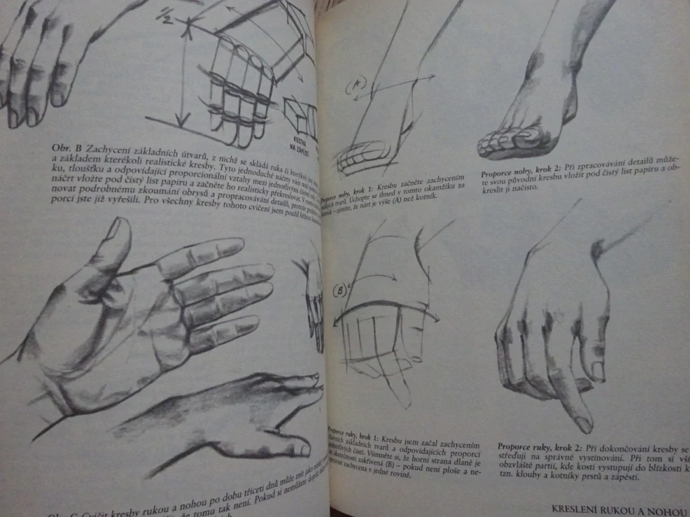 ZÁKLADY KRESBY A MALBY, VÝTVARNÉ UMĚNÍ, **an