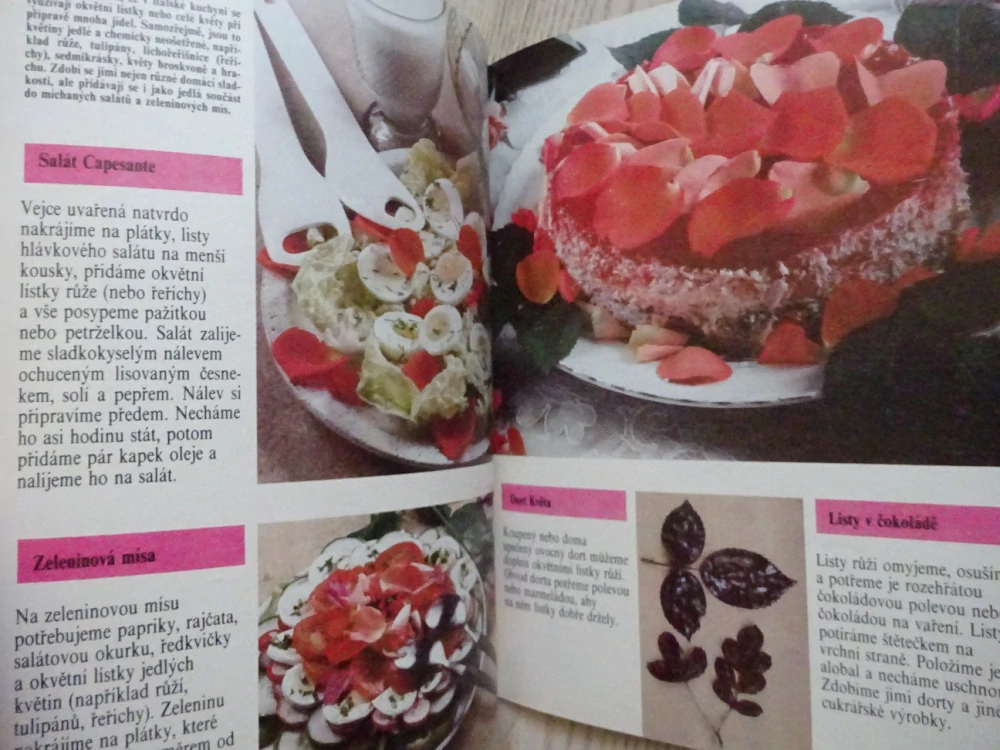 UM - MAGAZÍN ZÁJMŮ A ZÁLIB, JARO 1989