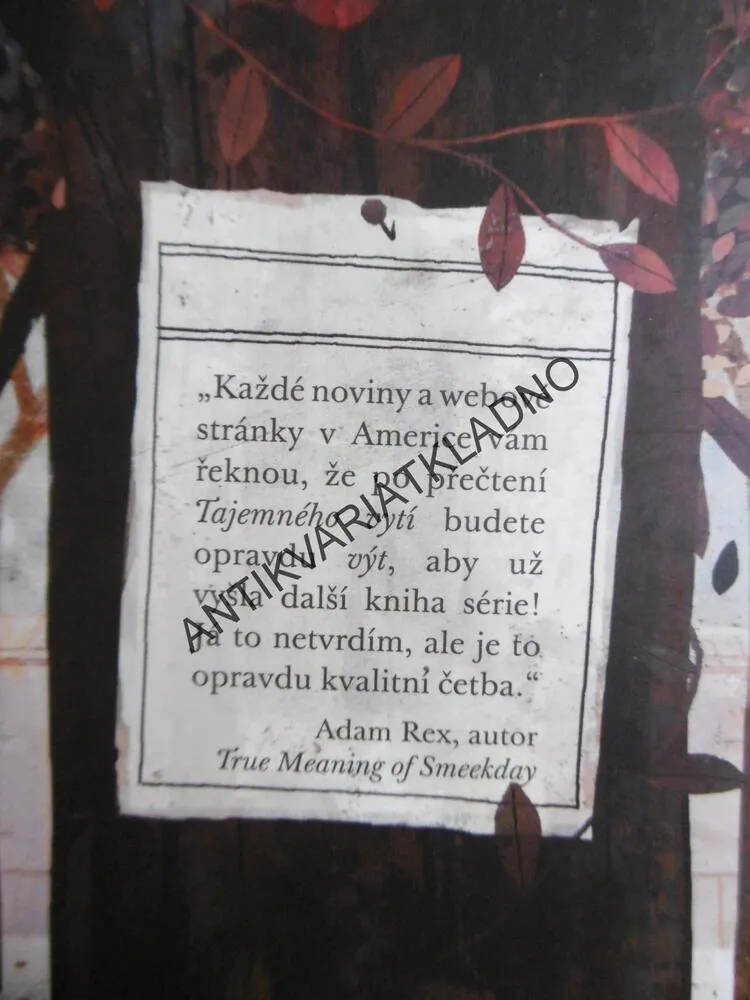 NEPOLEPŠITELNÉ DĚTI ZE SÍDLA ASHTON,TAJEMNÉ VYTÍ, WOODOVÁ, **an